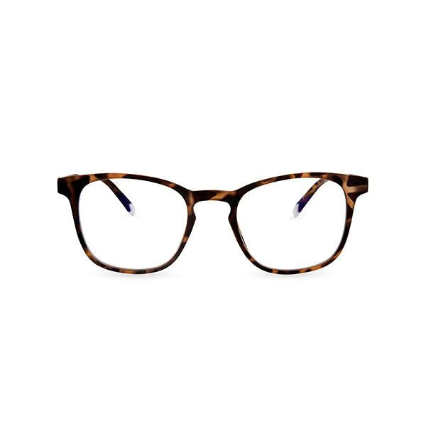 Barner Dalston Glasses - Tortoise